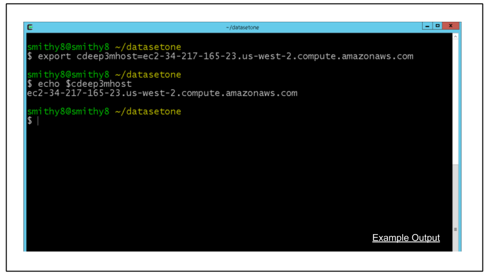 Terminal showing cdeep3mhost variable being set