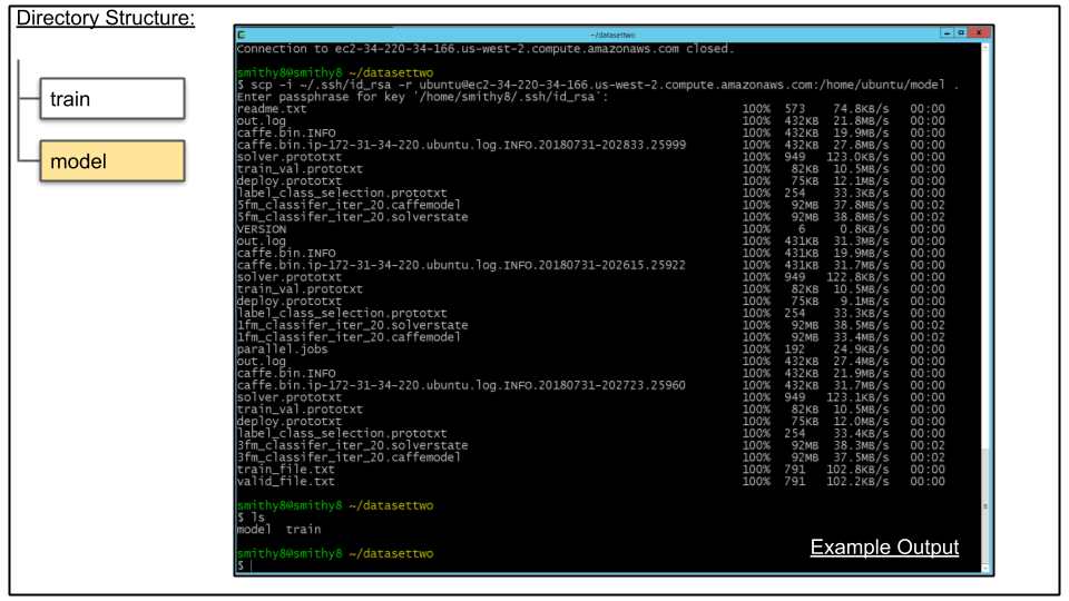 Terminal showing download of trained model