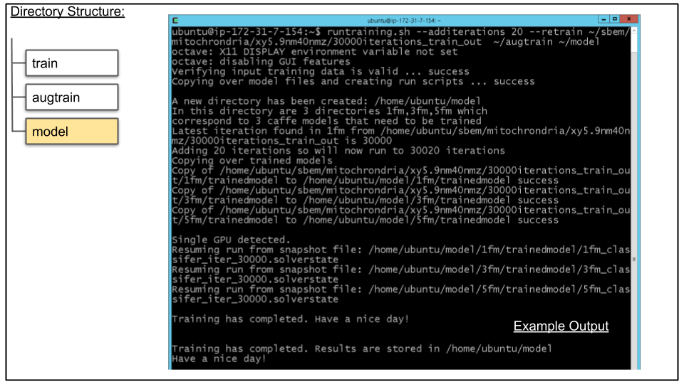 Terminal showing run of runtraining.sh